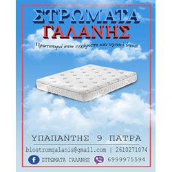 Company_logo