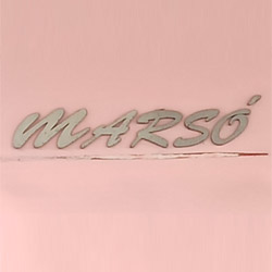Company_logo